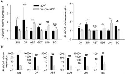 Conditional Deletion of the <mark class="highlighted">V-ATPase</mark> a2-Subunit Disrupts Intrathymic T Cell Development